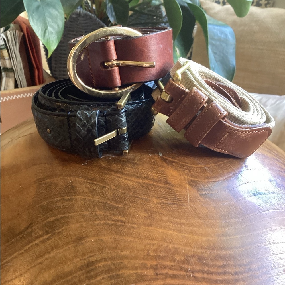 Belt Bundle Coach Zara All Saints